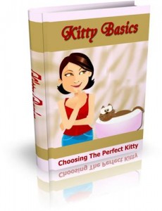 Baixar Kitty basics pdf, epub, eBook