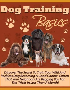 Baixar Dog training basics! pdf, epub, eBook