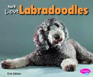 Baixar Youll love labradoodles pdf, epub, eBook