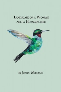 Baixar Landscape of a woman and a hummingbird pdf, epub, eBook