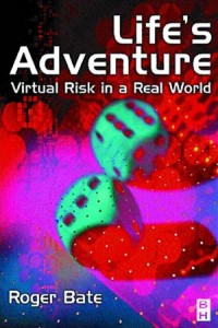 Baixar Life’s adventure: virtual risk in a real world pdf, epub, eBook