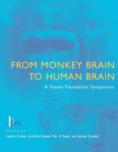Baixar From monkey brain to human brain pdf, epub, eBook