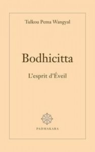 Baixar Bodhicitta pdf, epub, eBook
