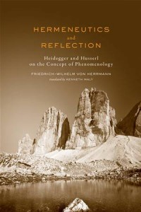 Baixar Hermeneutics and reflection pdf, epub, eBook