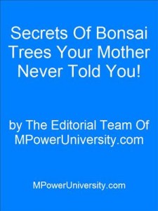 Baixar Secrets of bonsai trees your mother never told pdf, epub, eBook