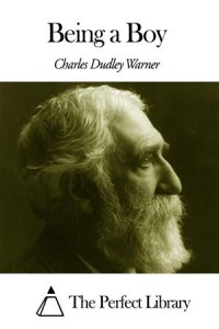Baixar Being a boy pdf, epub, eBook