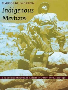 Baixar Indigenous mestizos pdf, epub, eBook