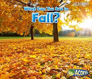 Baixar What can you see in fall? pdf, epub, eBook