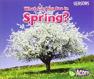 Baixar What can you see in spring? pdf, epub, eBook