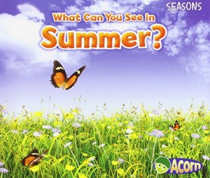 Baixar What can you see in summer? pdf, epub, eBook