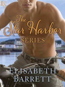 Baixar Star harbor series 4-book bundle, the pdf, epub, eBook