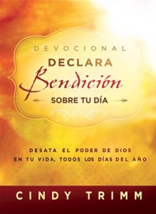 Baixar Devocional declara bendicion sobre tu dia pdf, epub, eBook