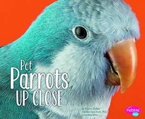 Baixar Pet parrots up close pdf, epub, eBook