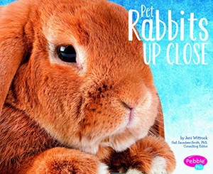 Baixar Pet rabbits up close pdf, epub, eBook