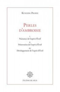Baixar Perles d’ambroisie pdf, epub, eBook