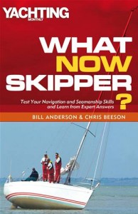 Baixar What now skipper? pdf, epub, eBook