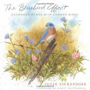 Baixar Bluebird effect, the pdf, epub, eBook