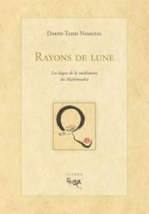 Baixar Rayon de lune pdf, epub, eBook