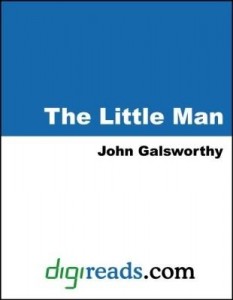 Baixar The Little Man pdf, epub, eBook