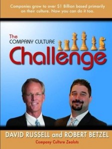 Baixar The Company Culture Challenge pdf, epub, eBook