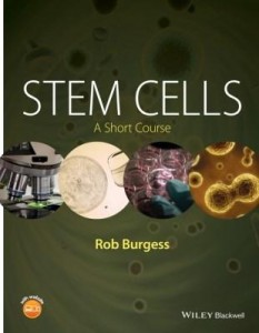 Baixar Stem Cells pdf, epub, eBook