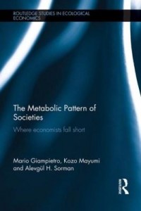 Baixar The Metabolic Pattern of Societies: Where Economists Fall Short pdf, epub, eBook