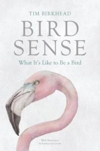 Baixar Bird Sense: What It’s Like to Be a Bird pdf, epub, eBook