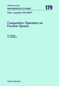 Baixar Composition Operators on Function Spaces pdf, epub, eBook