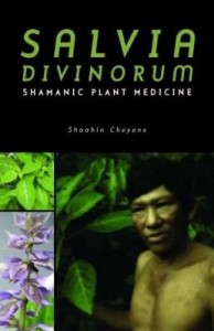 Baixar SALVIA DIVINORUM – Shamanic Plant Medicine pdf, epub, eBook