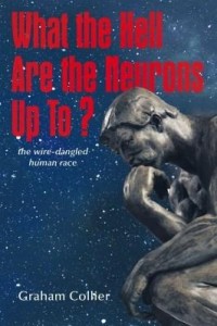 Baixar What the Hell are the Neurons Up To?:  The Wire-Dangled Human Race pdf, epub, eBook
