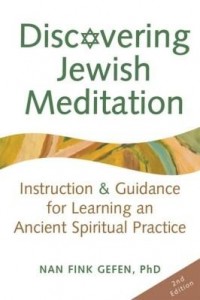 Baixar Discovering Jewish Meditation: Instruction & Guidance for Learning an Ancient Spiritual Practice pdf, epub, eBook
