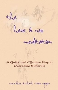 Baixar The Here & Now Meditation: A Quick and Effective Way to Overcome Suffering pdf, epub, eBook