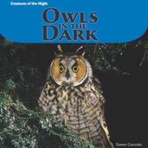 Baixar Owls in the Dark pdf, epub, eBook