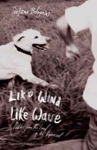 Baixar Like Wind, Like Wave: Fables from the Land of the Repressed pdf, epub, eBook