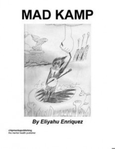 Baixar Mad Kamp pdf, epub, eBook