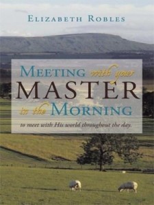 Baixar Meeting with Your Master in the Morning: To Meet with His World Throughout the Day. pdf, epub, eBook