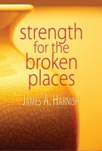 Baixar Strength for the Broken Places pdf, epub, eBook
