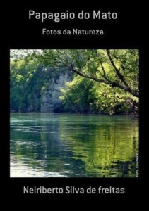 Baixar Papagaio Do Mato pdf, epub, eBook