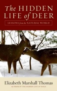Baixar The Hidden Life of Deer pdf, epub, eBook