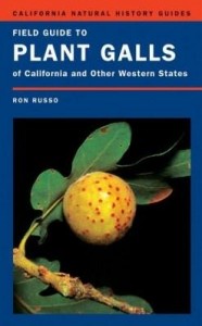 Baixar Field Guide to Plant Galls of California and Other Western States pdf, epub, eBook