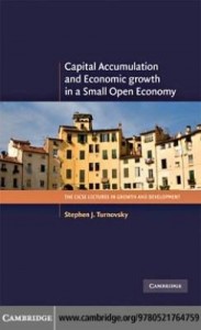 Baixar Capital Accumulation and Economic Growth in a Small Open Economy pdf, epub, eBook