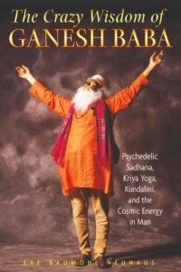 Baixar The Crazy Wisdom of Ganesh Baba: Psychedelic Sadhana, Kriya Yoga, Kundalini, and the Cosmic Energy i pdf, epub, eBook