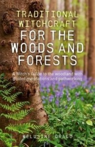 Baixar Traditional Witchcraft for the Woods and Forests: A Witch's Guide to the Woodland with Guided Medita pdf, epub, eBook
