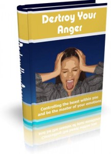 Baixar Destroy your anger pdf, epub, eBook