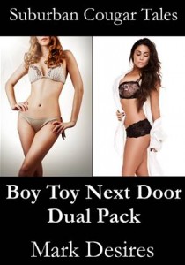 Baixar Boy toy next door dual pack pdf, epub, eBook