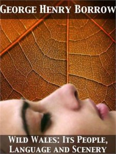 Baixar Wild wales: its people, language and scenery pdf, epub, eBook