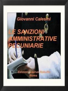 Baixar Sanzioni amministrative pecuniarie, le pdf, epub, eBook