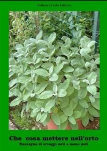 Baixar Che cosa mettere nellorto. rassegna di ortaggi pdf, epub, eBook