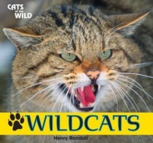 Baixar Wildcats pdf, epub, eBook