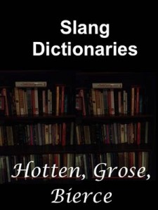 Baixar Slang dictionaries pdf, epub, eBook